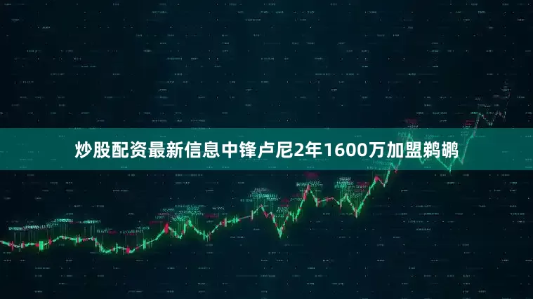 炒股配资最新信息中锋卢尼2年1600万加盟鹈鹕